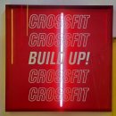 크로스핏2000 | [빌드업 크로스핏] 운동 못해도 OK ‘빌드업 크로스핏’에서 생존한 찐 초보 후기