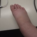 이승연산부인과의원 | 임신 34주 0일인 너구리의 하루