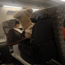 꼴까닭앤무봤나촌닭 | 2025년8월 일상글 ✨