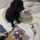 SK행정사 이미지