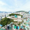 드론네이처