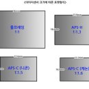 풀바디와 크롭바디 이미지