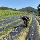 꿀벌식당 이미지