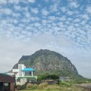 산방산호텔 이미지