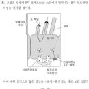 2021 MD 18번 달팽이관 청각 신호전달 이미지