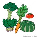 바디퍼포먼스 짐 이미지