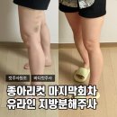 늘편안의원 | 유라인의원 지방분해주사 종아리컷주사 4회차 후기 (마지막 회차)