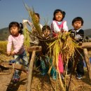 봉하농촌 체험마을 이미지