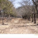 침벽공원 이미지