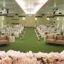 메종드비 이미지