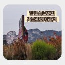 문화공원_하 | 서울 열린송현공원 방문 후기! 110년의 기다림 끝에 찾아온 가을과 예술의 공간