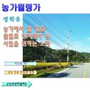 정학유 농가월령가 해설 / 해석 / 정리