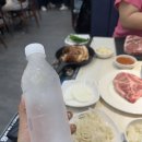 진사 지하수