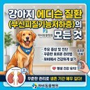 하비동물병원