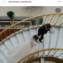대구 본식 스냅 스튜디오 리라 계약 후기