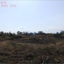 상모리-11 네이버블로그