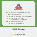 화원365한의원