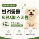 원 동물병원 | 반려동물 건강검진 최대32만원 지원금 후기 I 바라다동물병원 (강아지 건강검진, 스케일링)