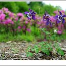 파평주유소 이미지