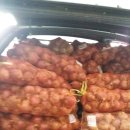 양파상회 이미지