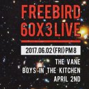 프리버드(FREE BIRD) - 성남시 분당구 | 프리버드(FREE BIRD)