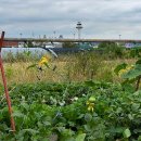 즐거운농장 이미지