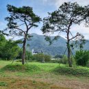 칠곡 기성리 삼층 석탑 | 칠곡 기성리 삼층석탑