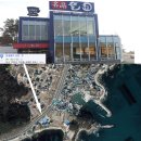 영산대학교 부동산대학원 Daum카페