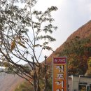 짐포리식당 이미지