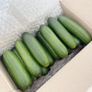 농사꾼과고양이 미니오이 스낵오이 간식추천