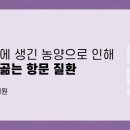 연세연여성외과의원 네이버블로그