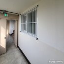 오드디자인 네이버블로그