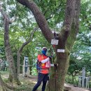 구항면마온마을회관 | 금북정맥12회차산행(신풍고개→하고개)