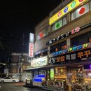 신가바늘산오징어 이미지