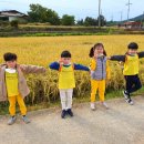 하얀여행(주) 이미지