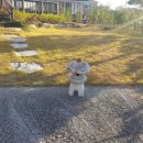 정동진백악관 이미지