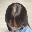 [셀프염색] 모레모 애쉬 소프트 브라운 셀프 뿌염 후기 - 올리브영 염색약 추천