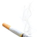 점촌중앙초등학교 이미지