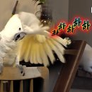 태식농장 이미지