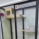 호텔이냥 이미지