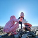 남일대리조트 호텔 | 사천에서 보낸 여름휴가. 사천여행 아르떼리조트 아라마루아쿠아리움 부잔교갯벌탐방로 남일대해수욕장