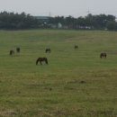 안식목장 이미지