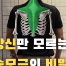 서초중앙로31길 6-3 이미지