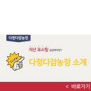 여자만 회 타운 이미지