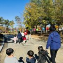 은어송이테마공원 이미지