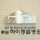루원하이동물병원 이미지