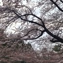 서호동-29 이미지