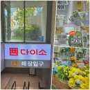 다이소 뚝섬역점 성수동 핫플 누디트 서울숲 주차장 품절템 소품샵 가득