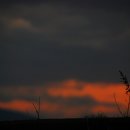 별그대민박
