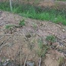 종현농장 2 이미지